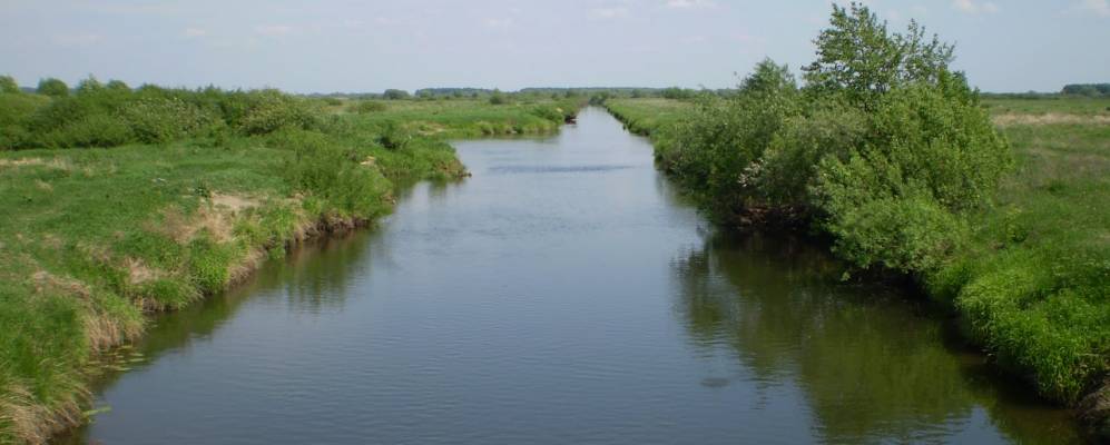 
            Фотография Ходынино