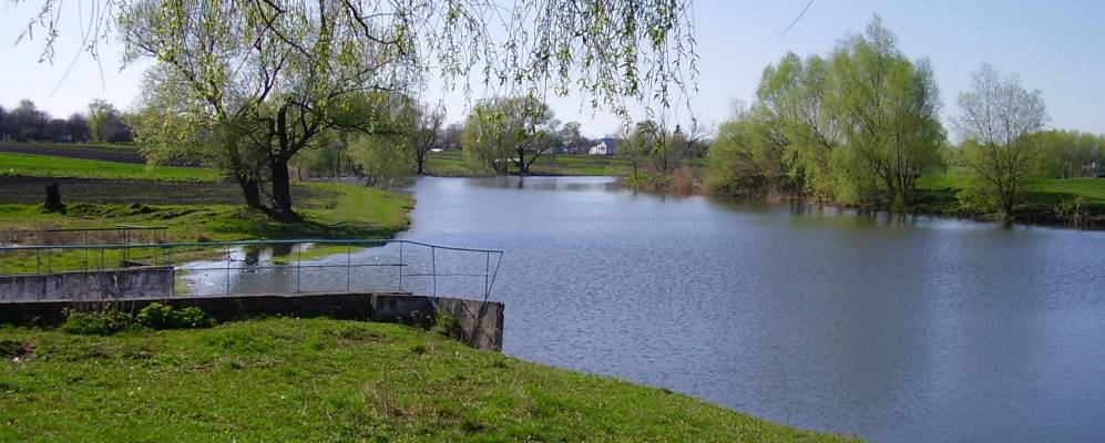 
            Фотография Гайка