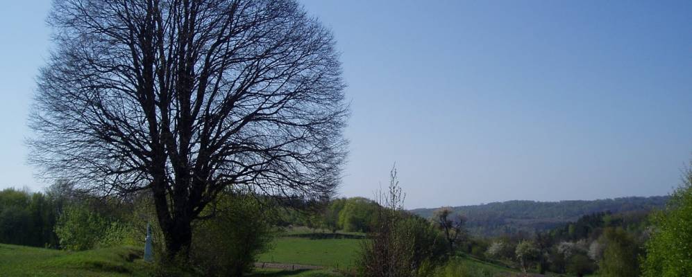 
            Фотография Верхутки