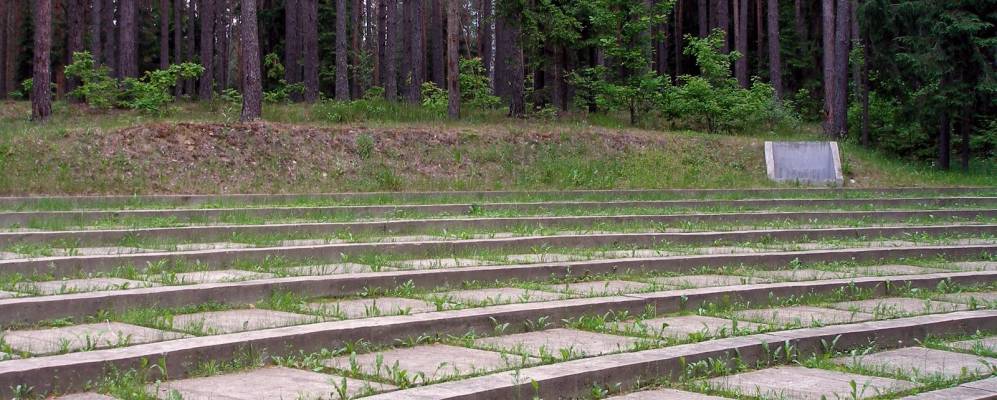 
            Фотография деревни Ладыжицы