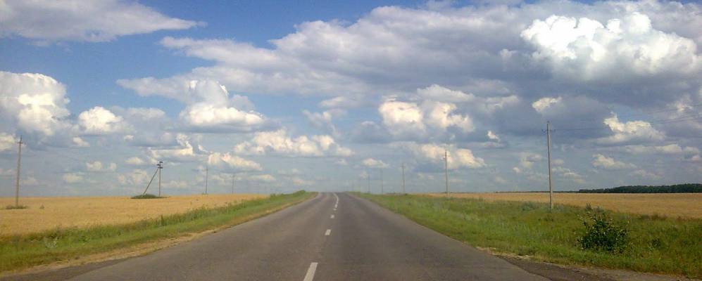 
            Фотография Ясенок