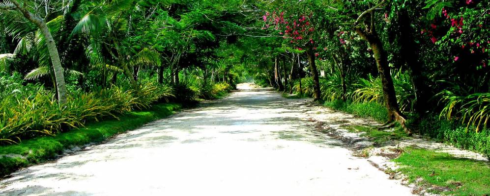 
            Фотография Катангнан