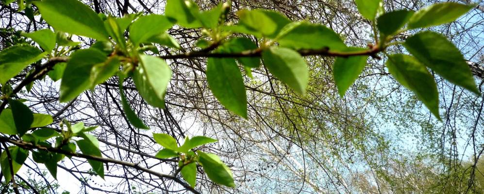 
            Фотография Майского