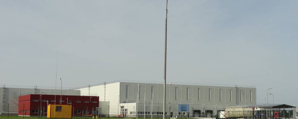 
            Фотография Смолигова