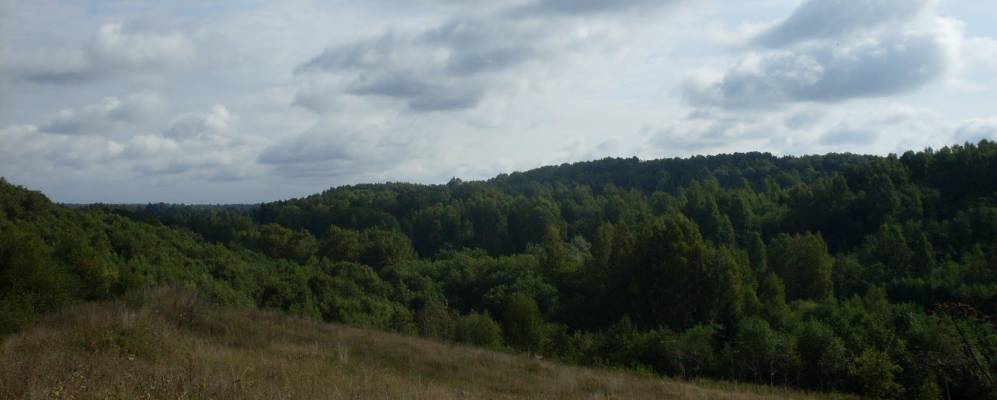 
            Фотография Карелкино