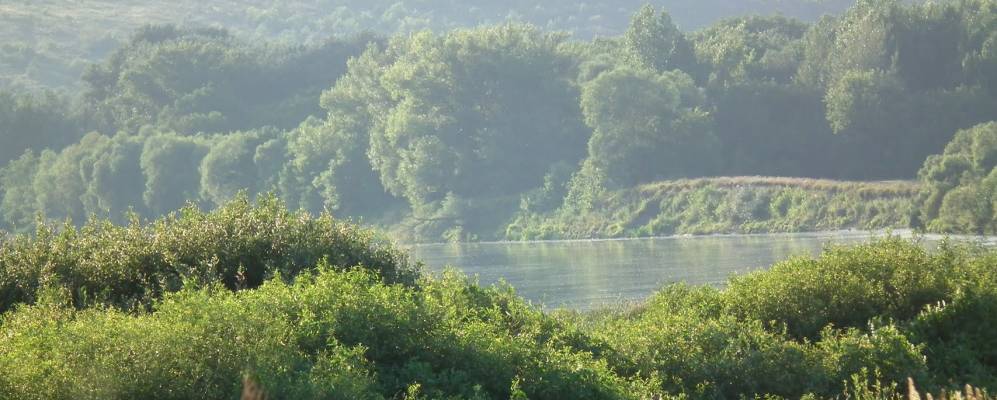 
            Фотография Тихого Дона