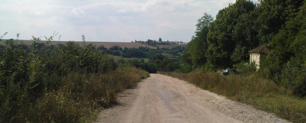 
            Фотография Носиковки