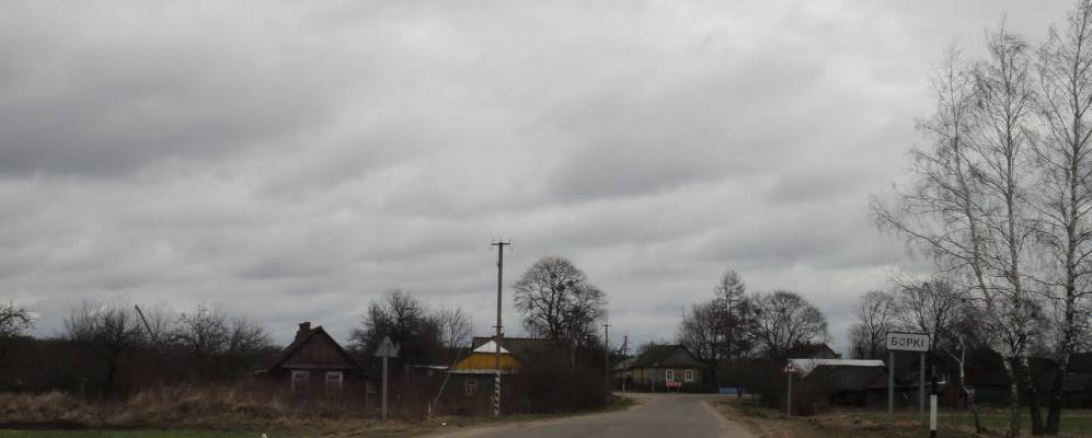 Фотография деревни Борки