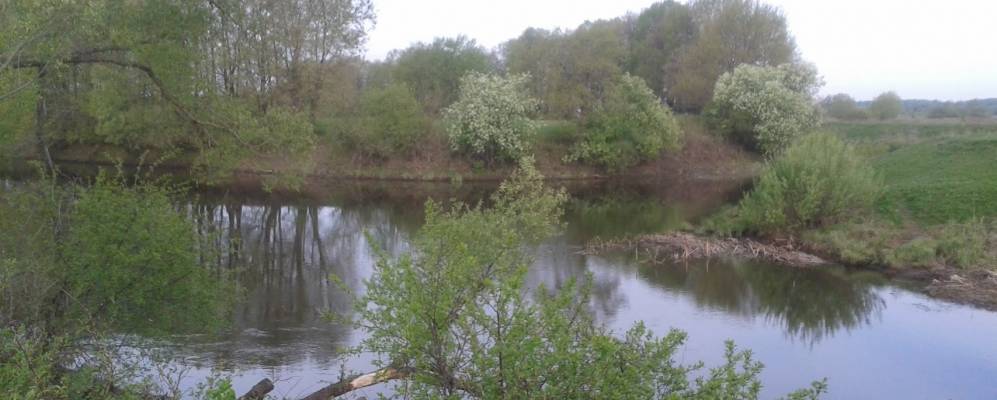 
            Фотография Волынь