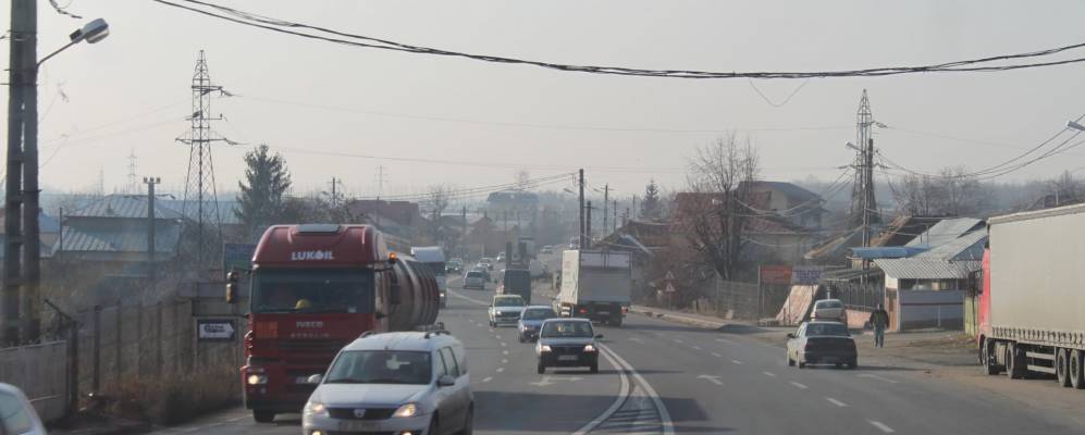 
            Фотография Букова