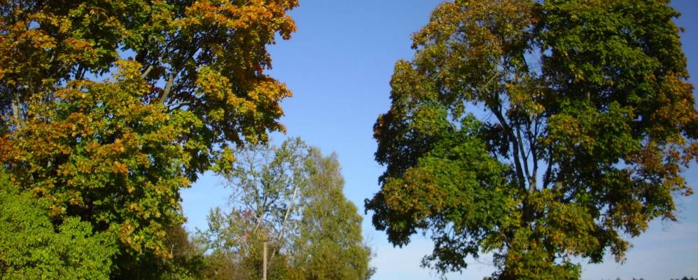 
            Фотография деревни Червоеды