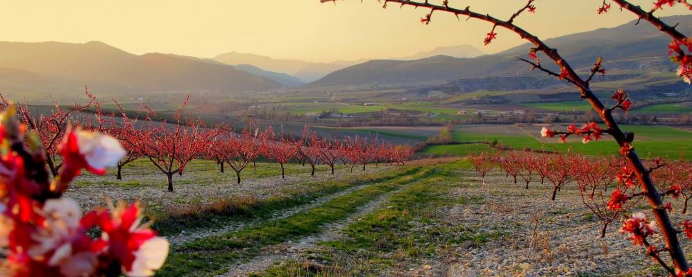 
            Фотография Безиньяна