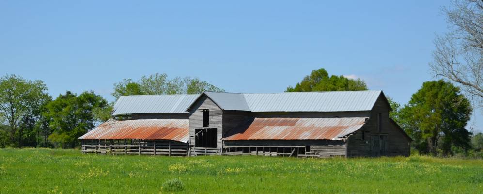 
            Фотография Хедленда