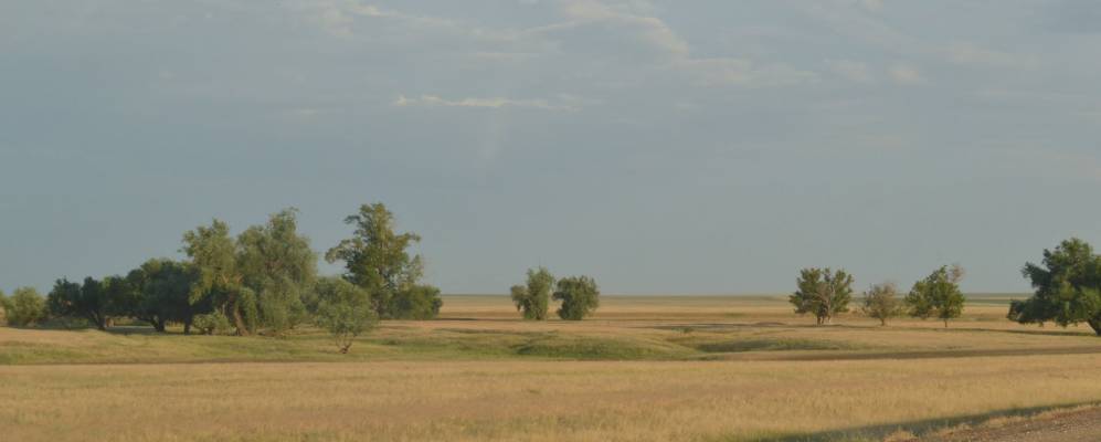 
            Фотография Вербового Сырта