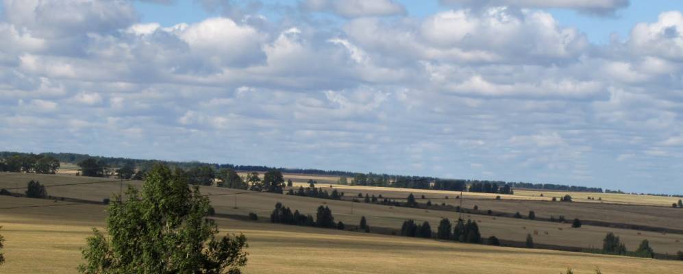 
            Фотография Подновья