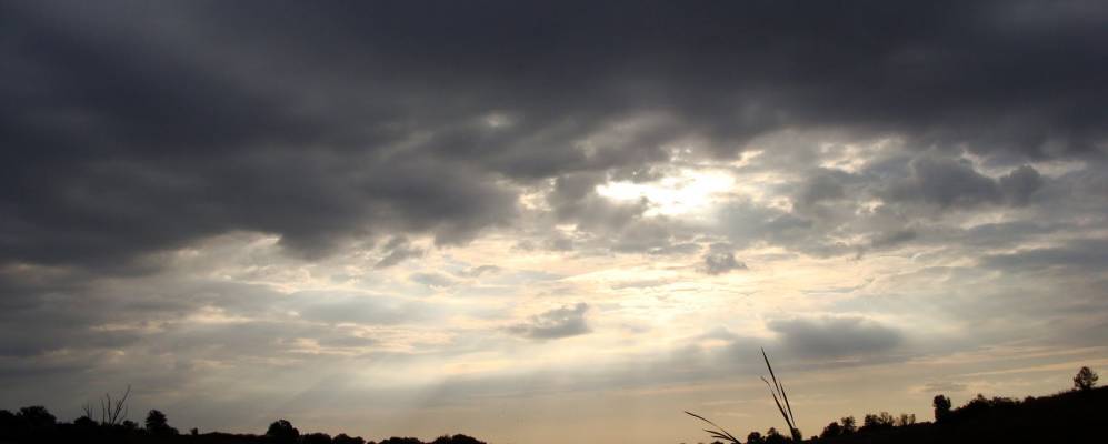 Фотография Бакалы