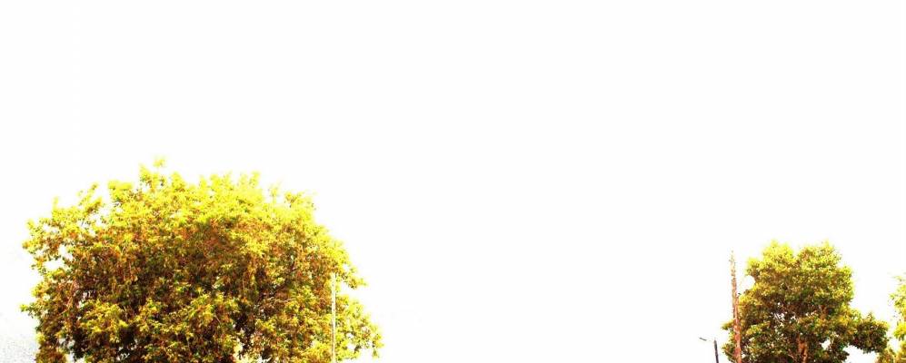 
            Фотография Новотроицкого