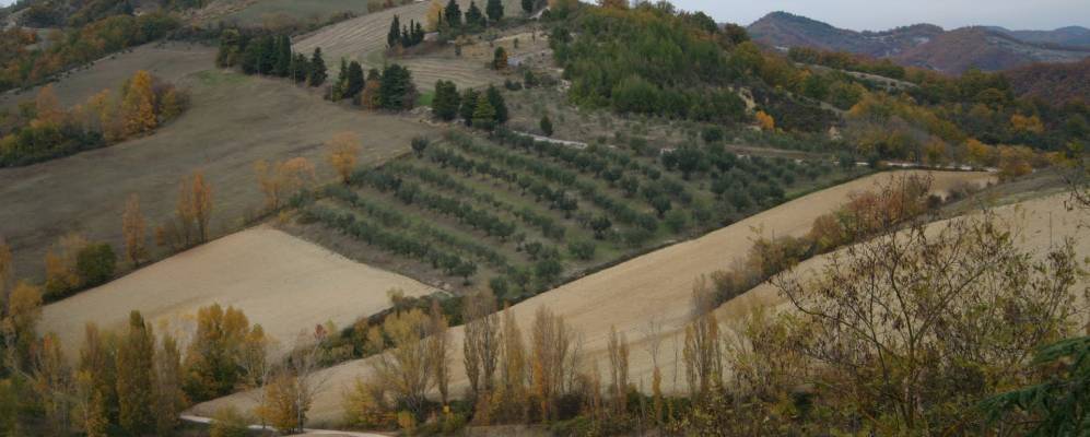 
            Фотография Монтоне