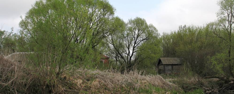 
            Фотография Незеваевки