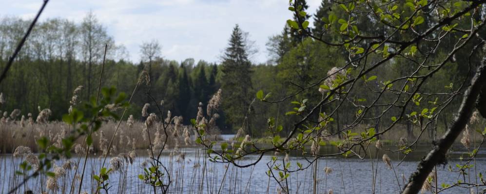 Фотография Прудка