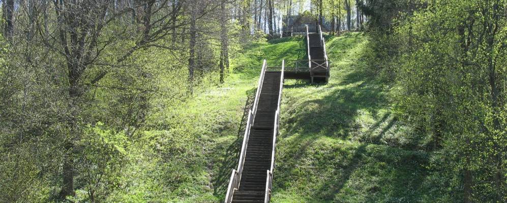 Фотография деревни Краснопольцы