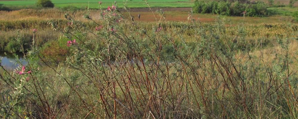 
            Фотография Непереможного