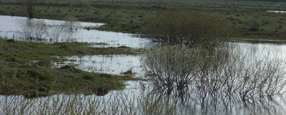 
            Фотография Шилино