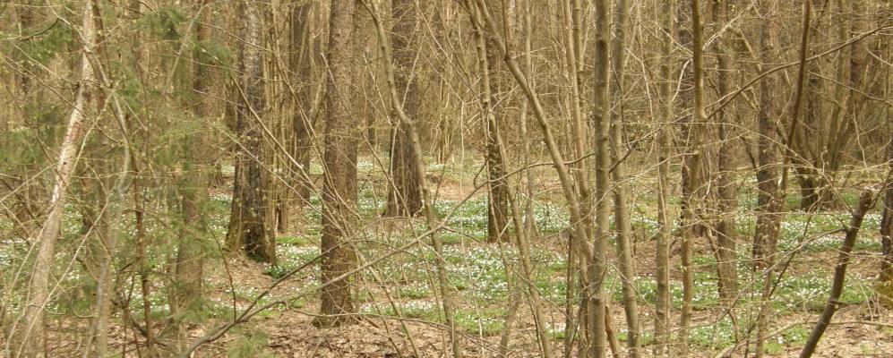 
            Фотография Матвеевки