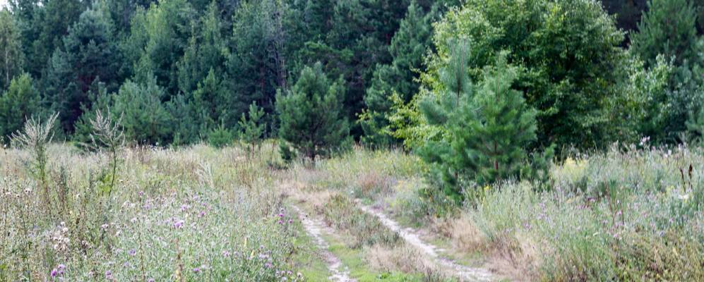 
            Фотография Надеждино