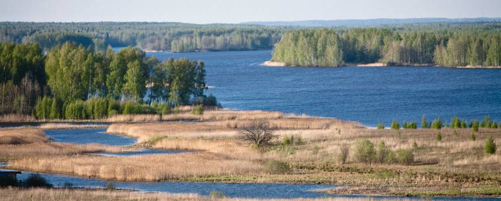 
            Фотография Толоконцево