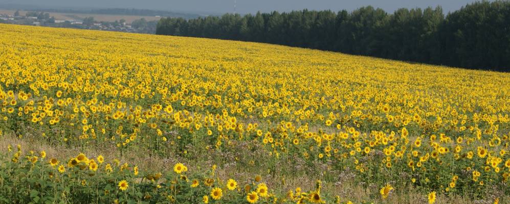 
            Фотография Казармы