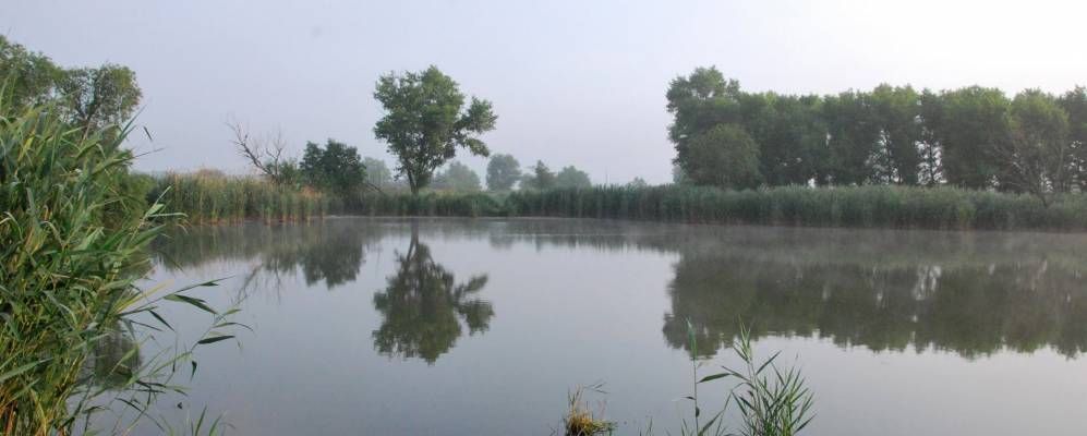 
            Фотография Таурупа Первого