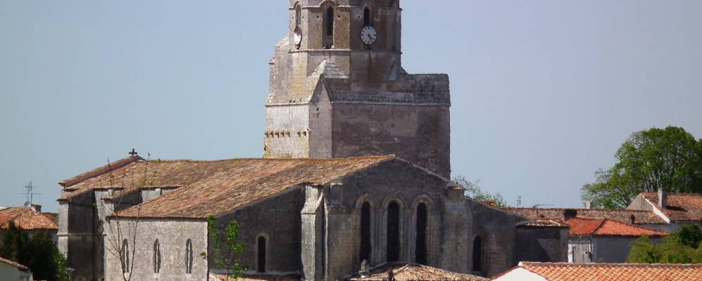 
            Фотография Коза