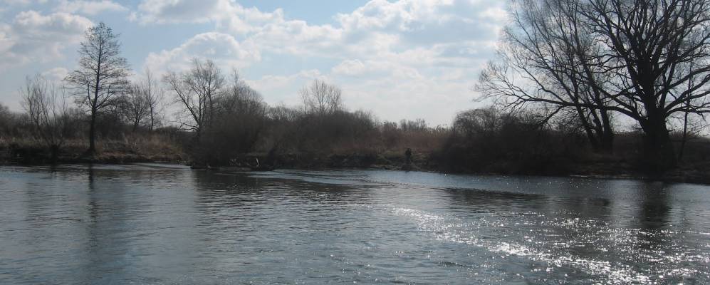 
            Фотография Кагуева