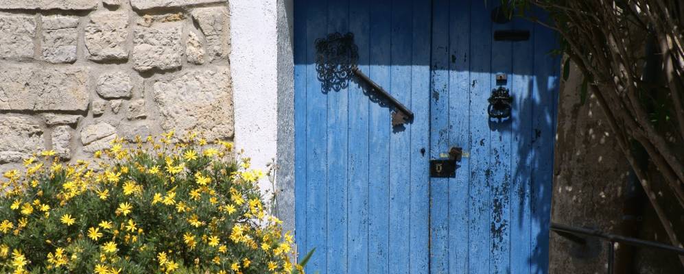 
            Фотография Кала