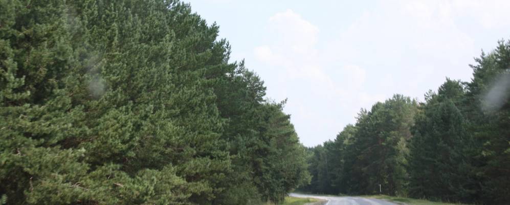 Фотография Корсаевки