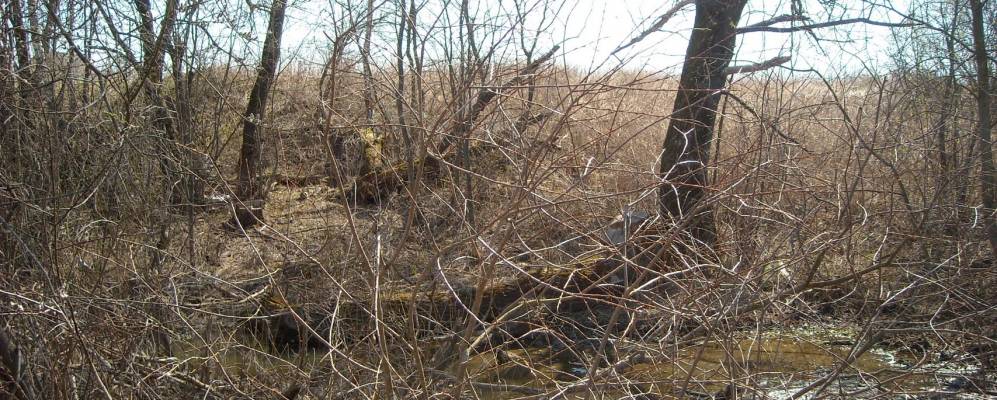 
            Фотография Острецово