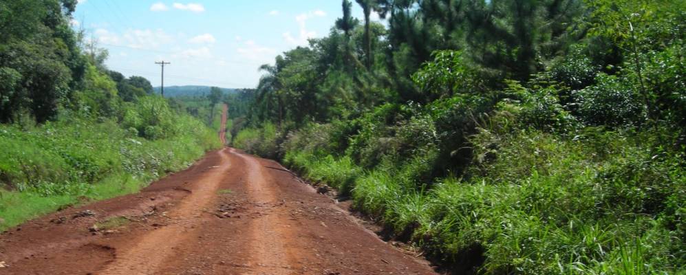 
            Фотография Карагуатая