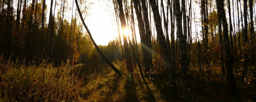 
            Фотография Лёвшино