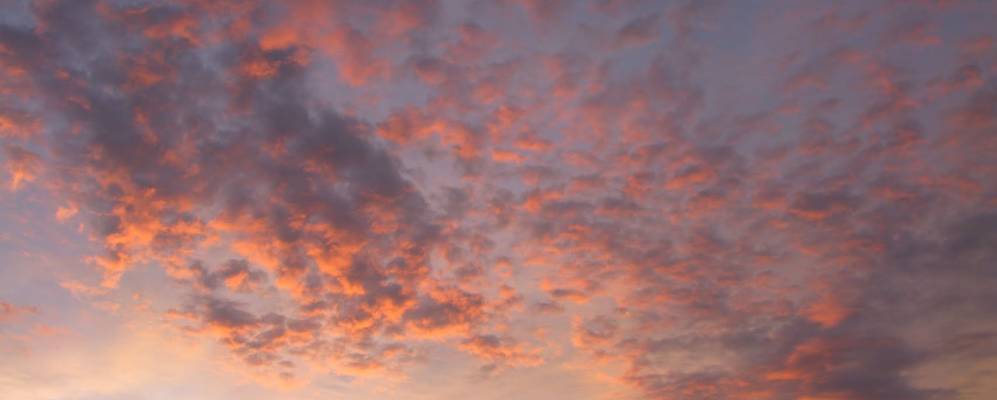 Фотография Языково