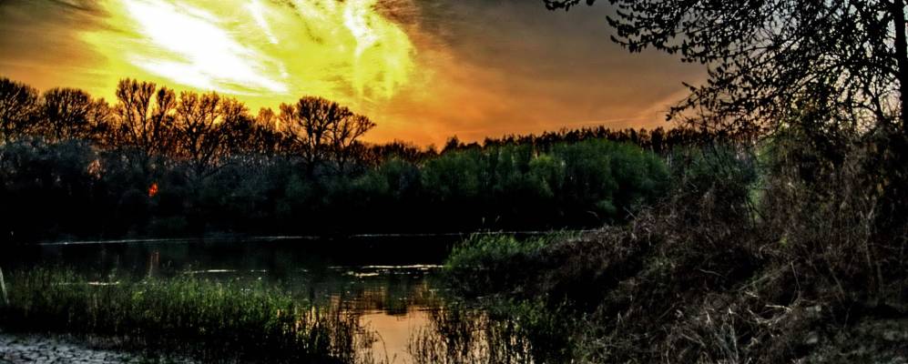 
            Фотография Тисауга