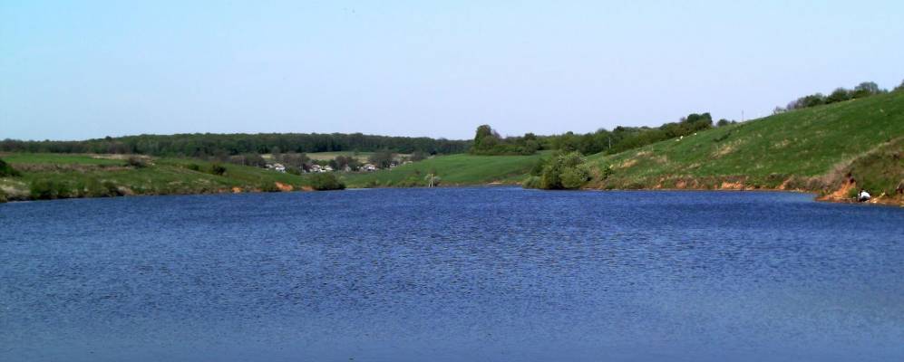 Фотография Пороза