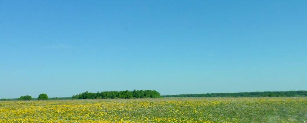 
            Фотография Красной Речки