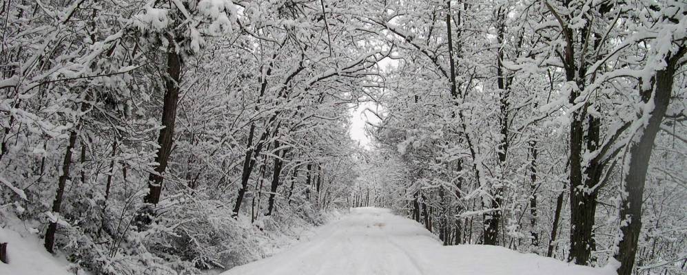 
            Фотография Гревены