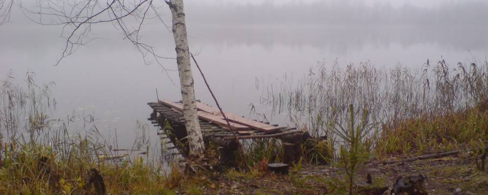 
            Фотография деревни Пыньки