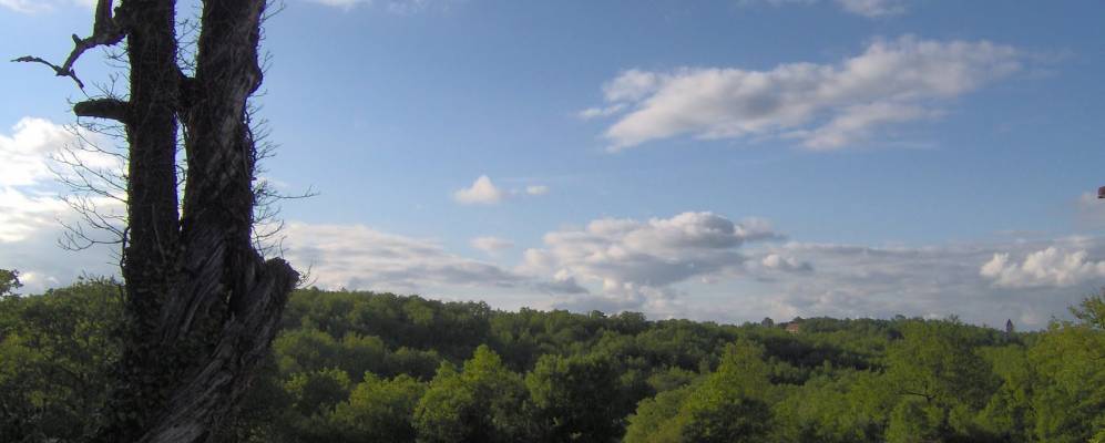 
            Фотография Жинду