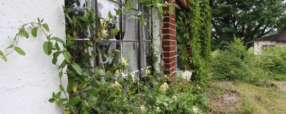 
            Фотография Джеймстауна