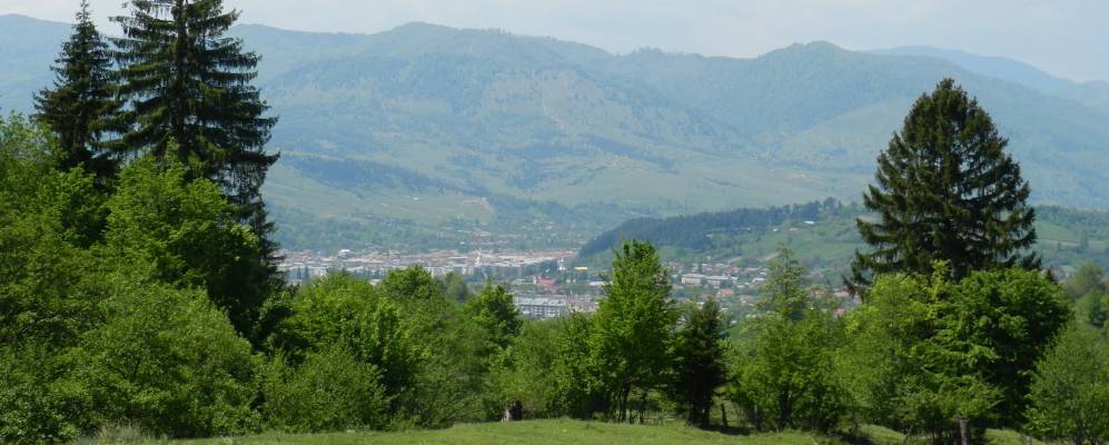 
            Фотография Моинешти