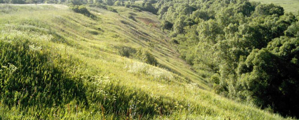 Фотография Семеновки