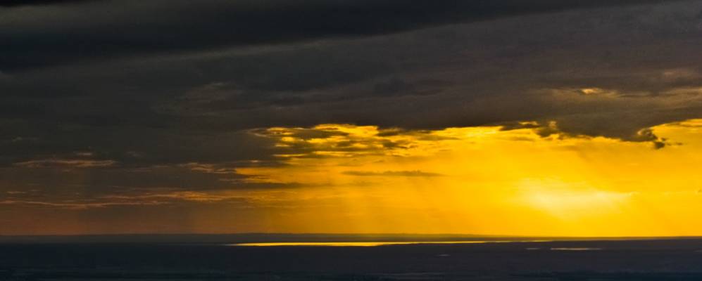 
            Фотография Алги